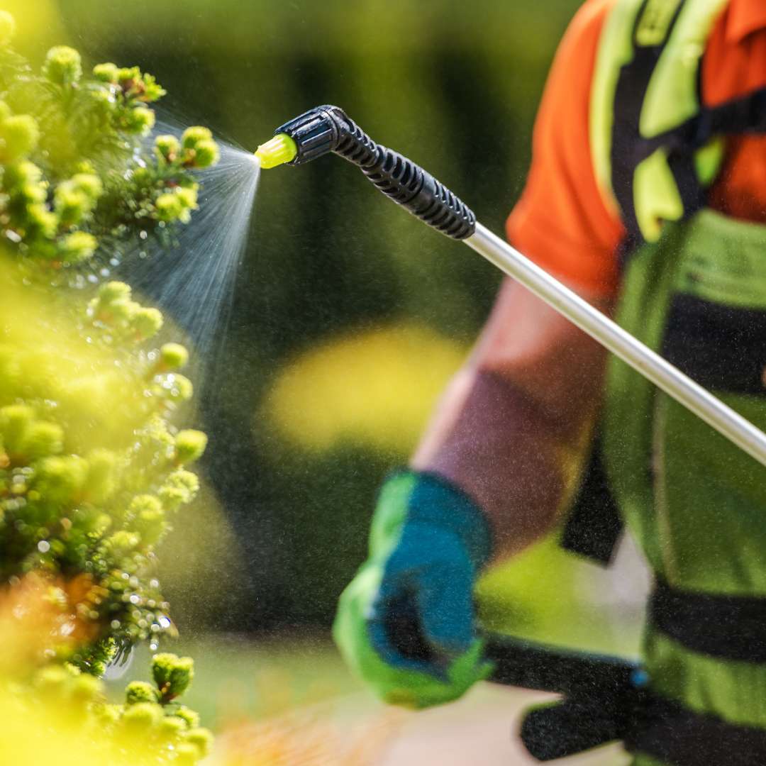 Vebi insekticid Draker 10.2 5l - sredstvo za zatiranje insektov