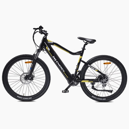 MS ENERGY električno kolo m10